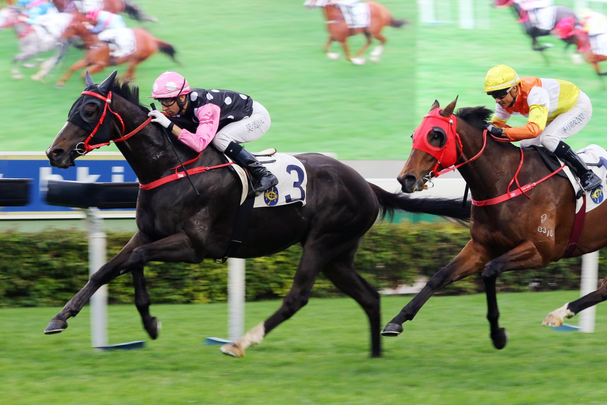 Beauty Legacy surges to victory on his Hong Kong debut at Sha Tin on Sunday. Photos: Kenneth Chan