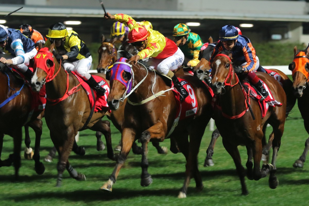 Horses fight out the finish at Happy Valley last month. Photos: Kenneth Chan