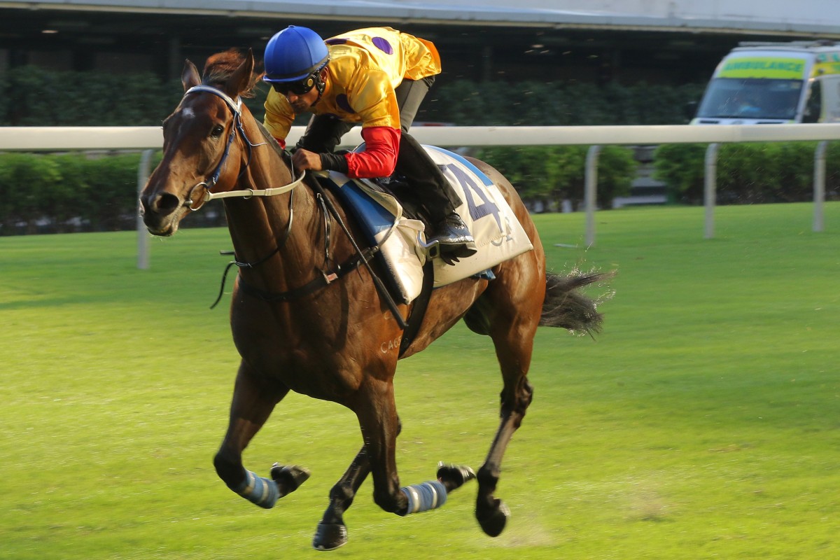 Columbus County bowls along in a barrier trial. Photos: Kenneth Chan