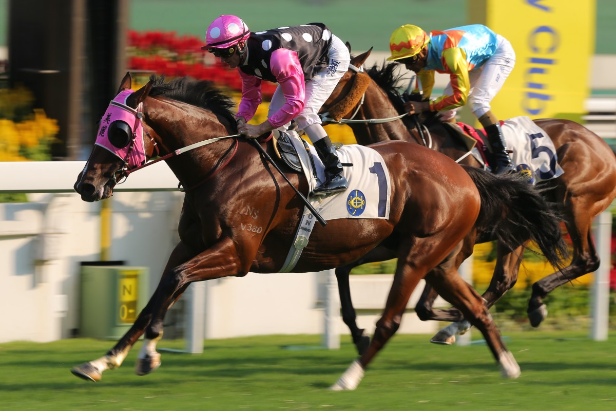 Beauty Generation returns to the racetrack in next Sunday’s Stewards’ Cup. Photos: Kenneth Chan