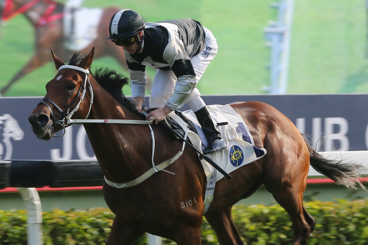 Zac Purton guides Exultant to victory in November’s Group Two Jockey Club Cup. Photos: Kenneth Chan