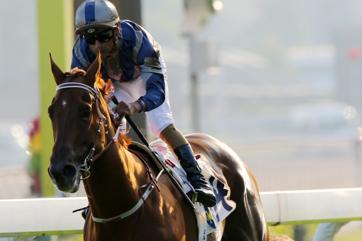 Aethero wins at Sha Tin this season. Photos: Kenneth Chan