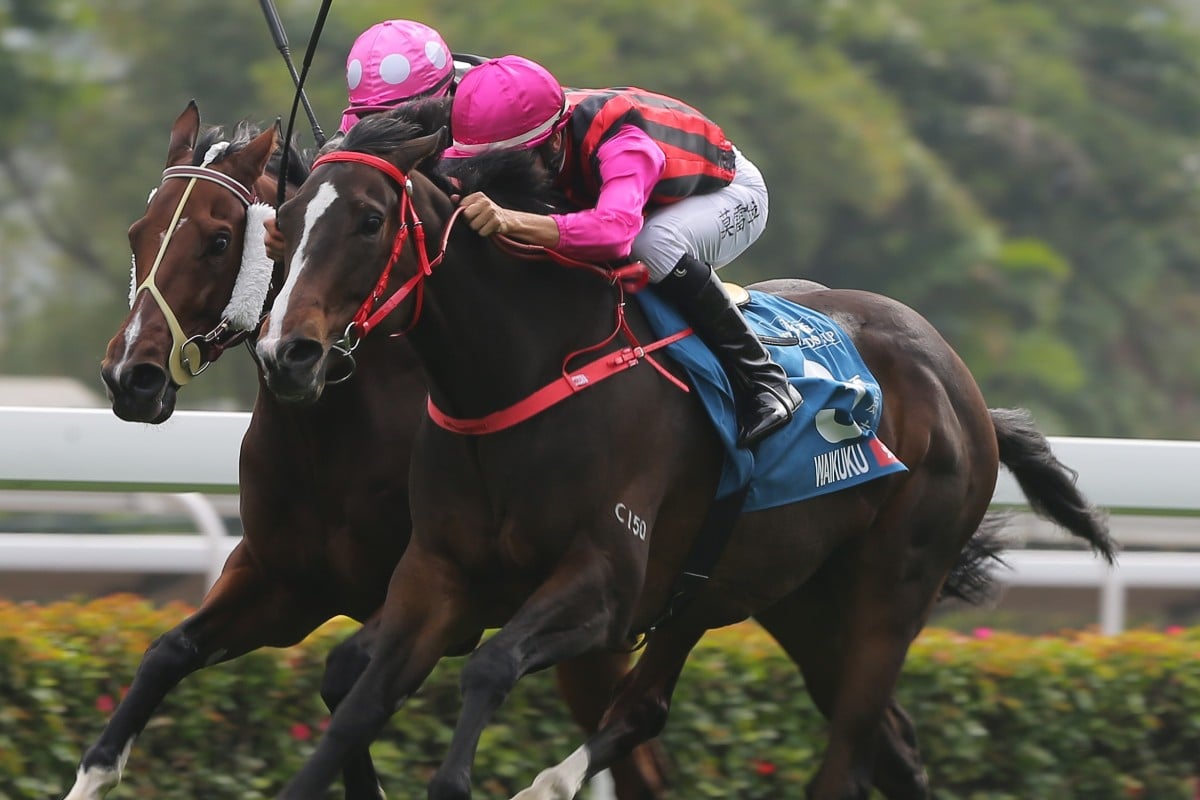 Waikuku (outside) gets the better of Beauty Generation at Sha Tin. Photos: Kenneth Chan