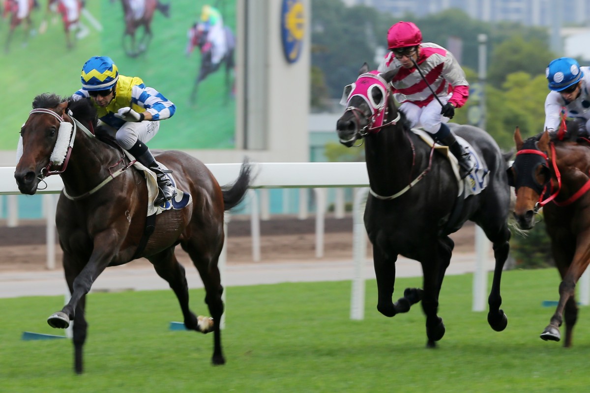 Enjoying (pink and grey silks) runs third at Sha Tin on January 5. Photos: