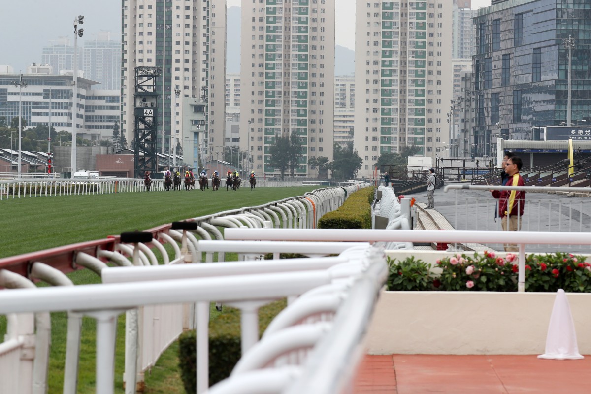 A smattering of punters watch on at Sha Tin on Sunday. Photo: Kenneth Chan