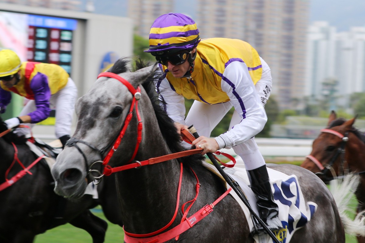 Zac Purton partners El Jefe to victory at Sha Tin on Saturday. Photos: Kenneth Chan