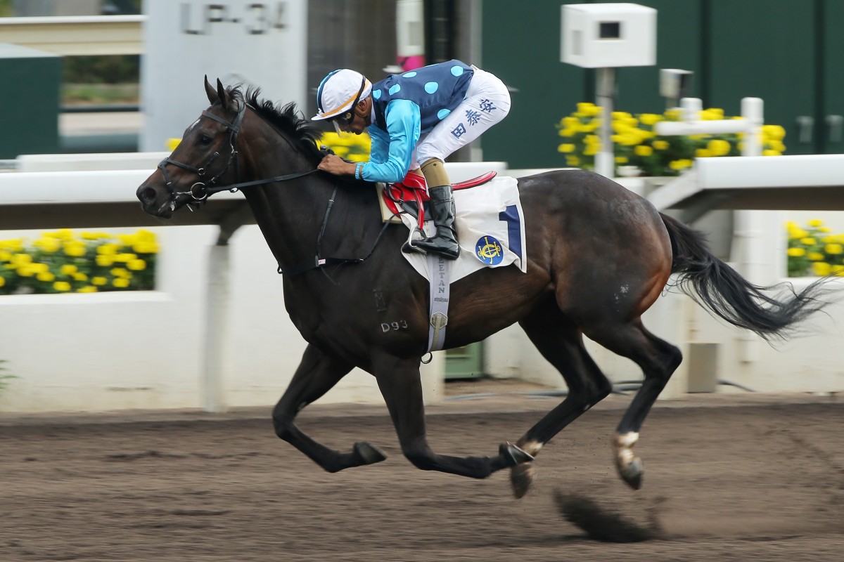 Will Power hits the line under Karis Teetan to win in January. Photos: Kenneth Chan