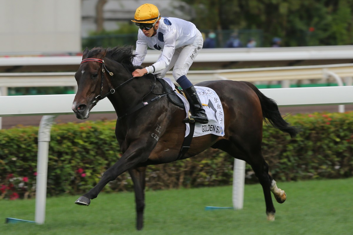 Golden Sixty remains in a race to be fit for Sunday’s Classic Cup. Photos: Kenneth Chan