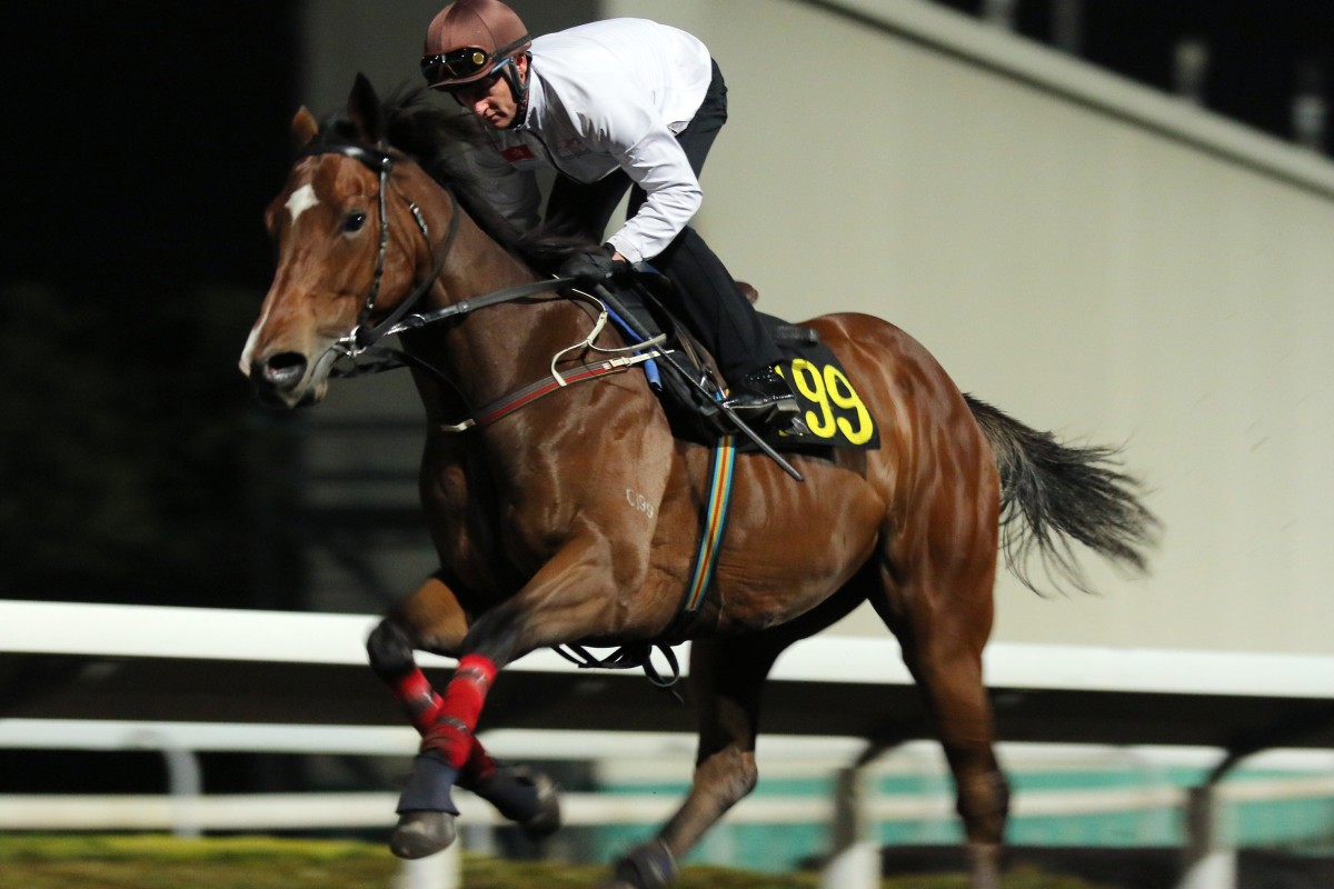 Zac Purton gallops More Than This on Thursday morning at Sha Tin. Photos: Kenneth Chan