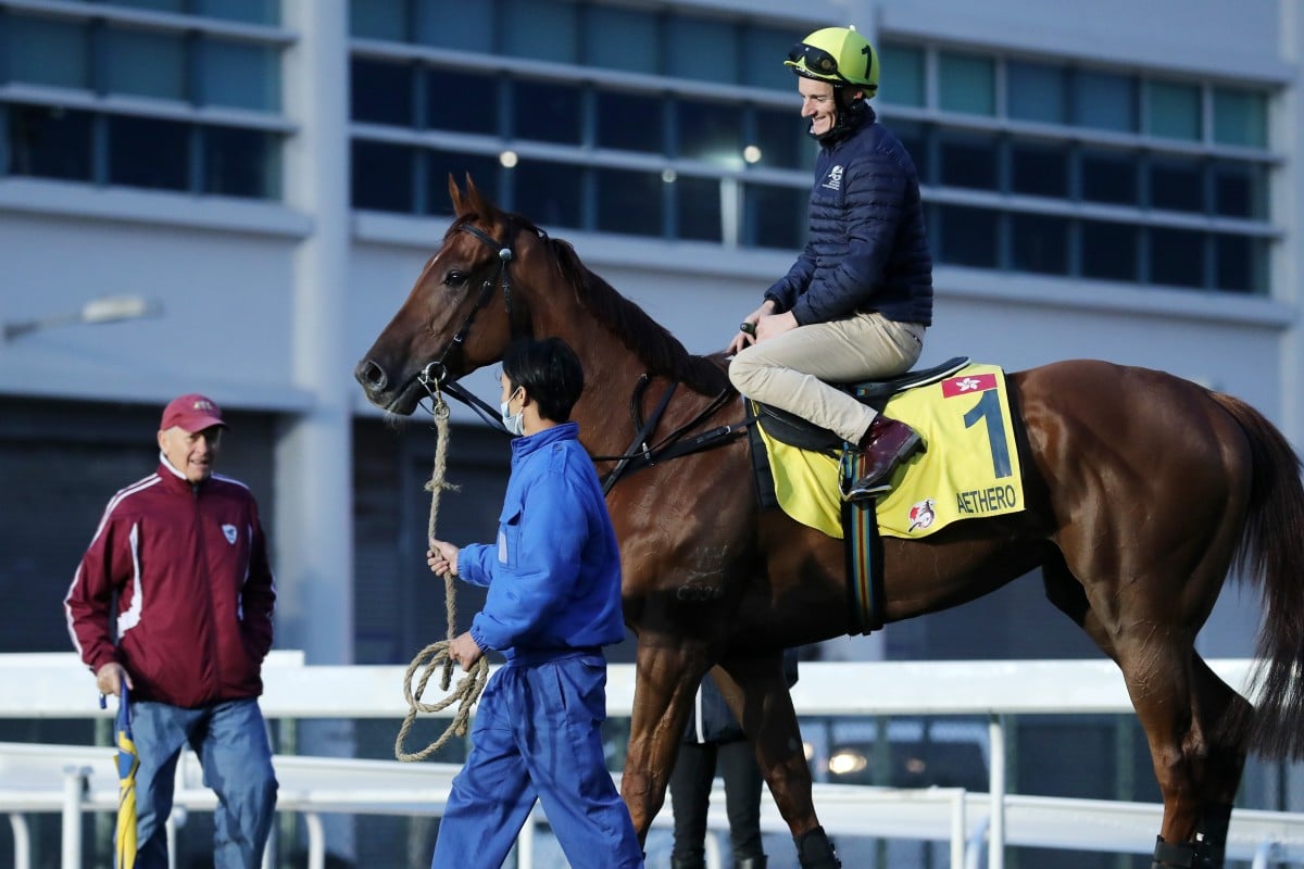 John Moore looks over Aethero after trackwork in December. Photos: Kenneth Chan