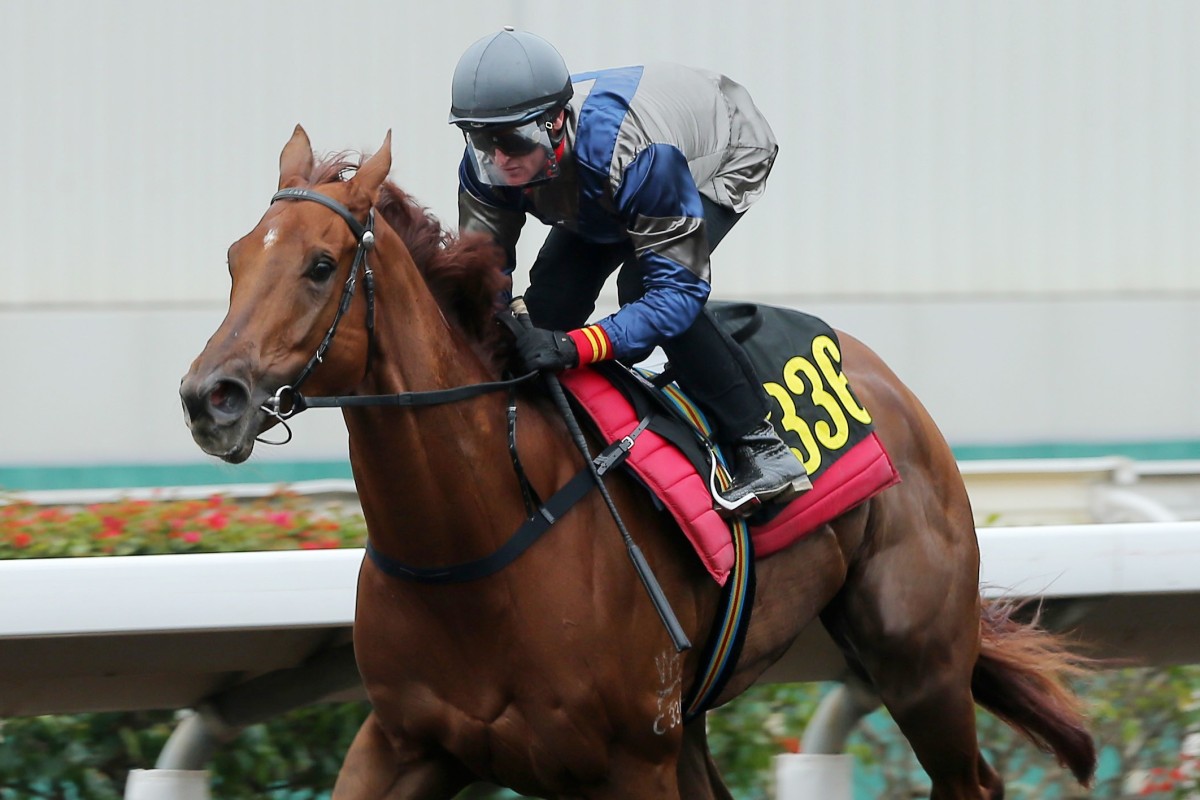 Aethero wins his all-weather trial at Sha Tin on Tuesday morning. Photos: Kenneth Chan