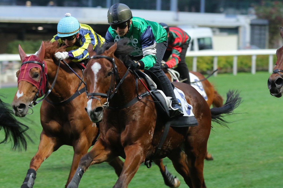 Glorious Spectrum (centre) trials at Happy Valley this season. Photos: Kenneth Chan