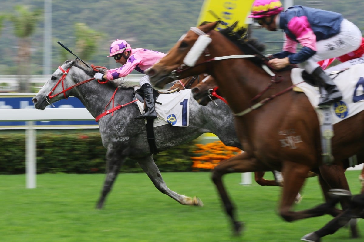 Hot King Prawn holds on to salute at Sha Tin on Sunday, with Thanks Forever flashing home into second. Photos: Kenneth Chan