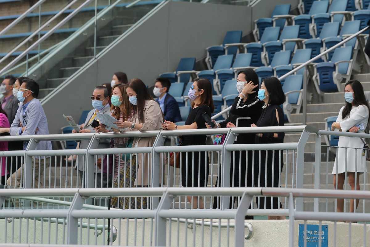 A handful of owners watch on at Sha Tin earlier this month. Photos: Kenneth Chan