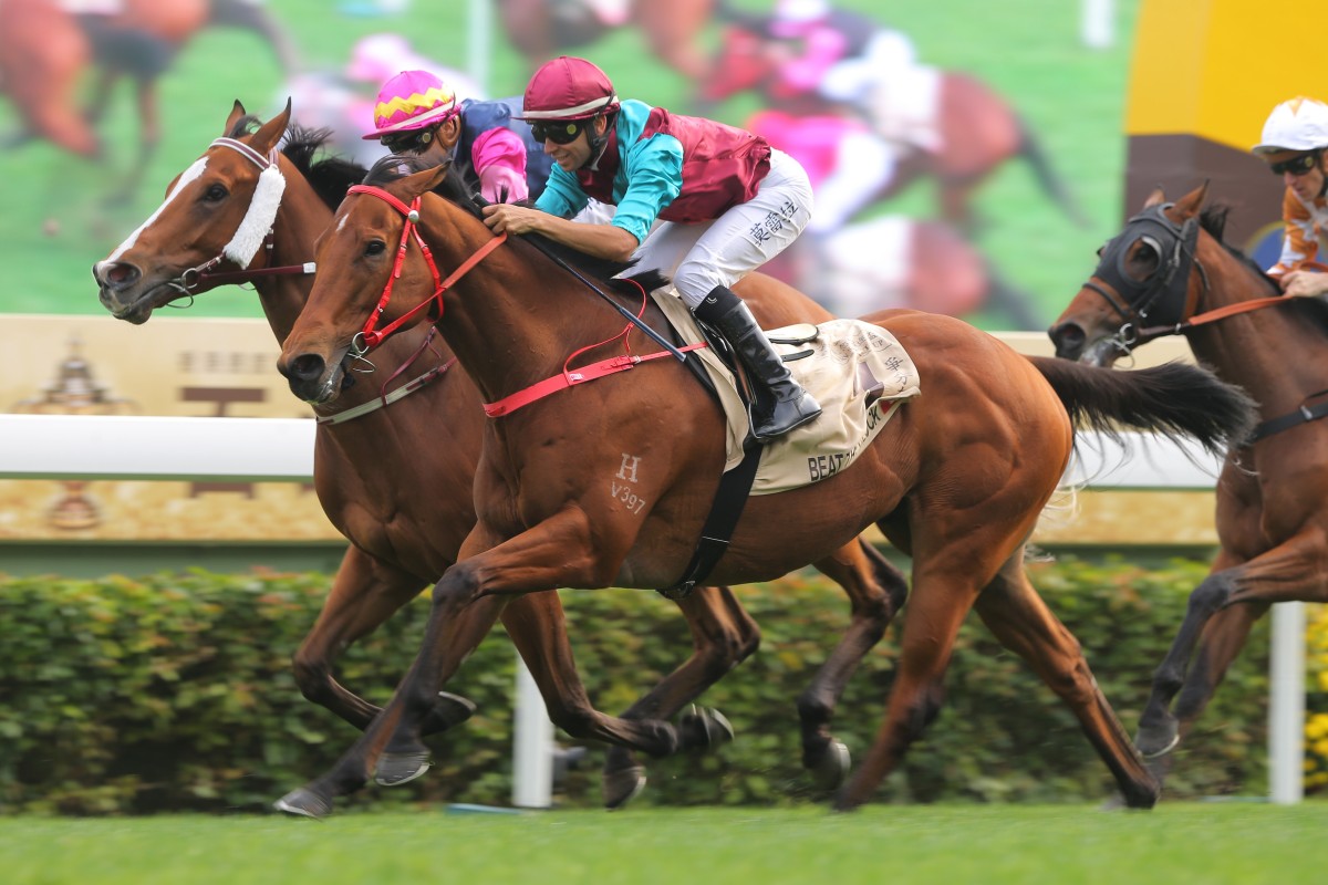 Beat The Clock wins the Centenary Sprint Cup in January. Photos: Kenneth Chan