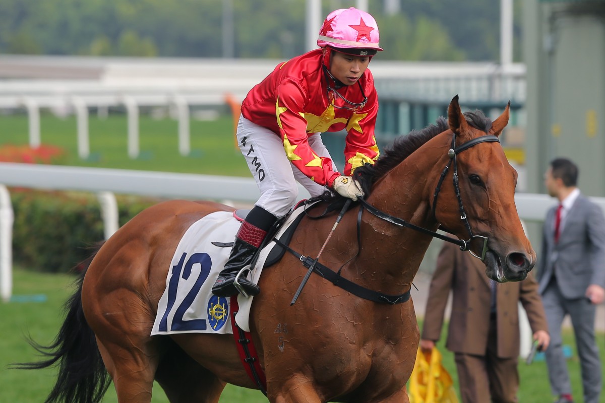 Valiant Dream returns after winning at Sha Tin earlier this year. Photos: Kenneth Chan