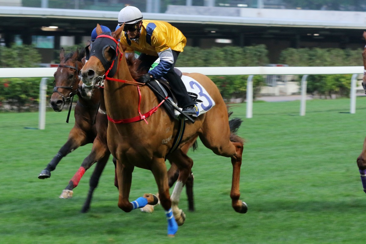 Styling City trials at Happy Valley on March 7. Photos: Kenneth Chan