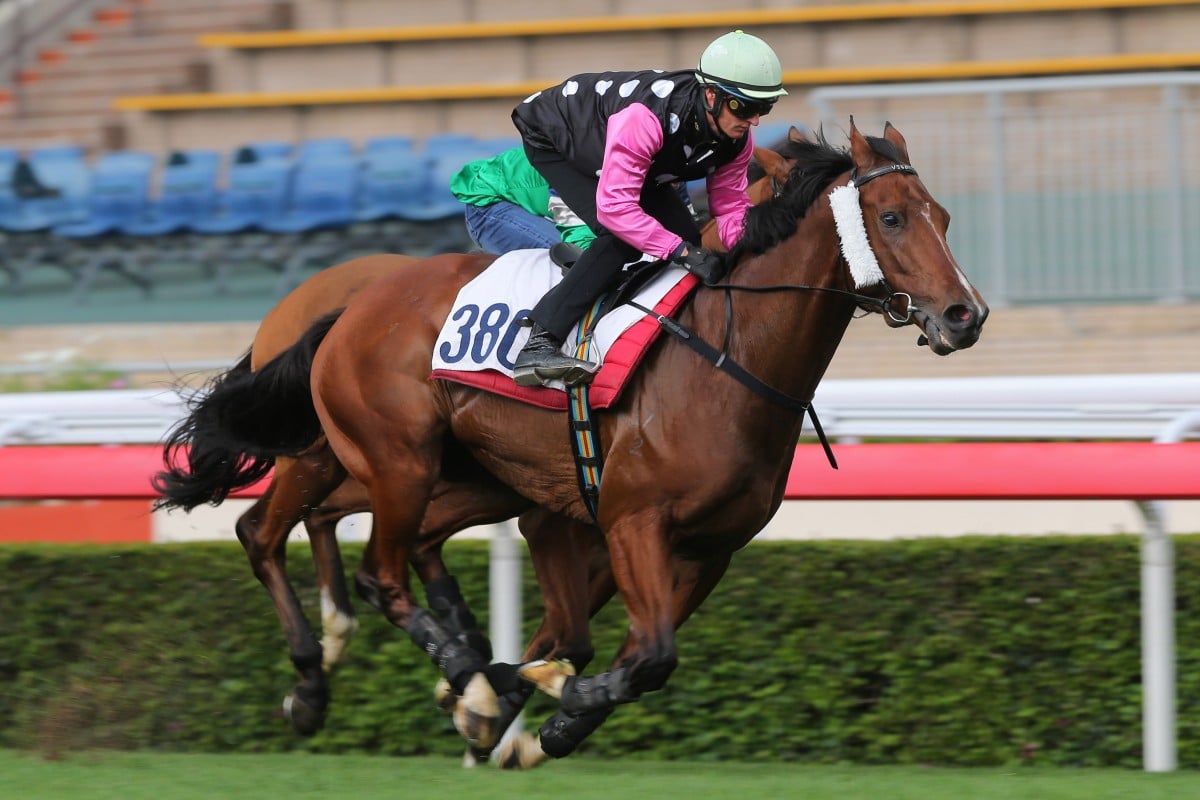 Beauty Generation wins a trial under Zac Purton at Sha Tin on Tuesday morning. Photos: Kenneth Chan
