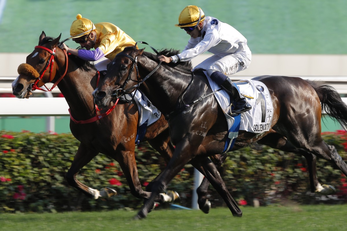 Blake Shinn and Playa Del Puente (left) do everything in their power to hold out Golden Sixty in the Hong Kong Derby. Photo: Kenneth Chan