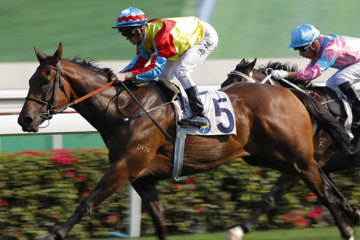 Zac Purton cruises to victory on Wellington at Sha Tin yesterday. Photos: Kenneth Chan