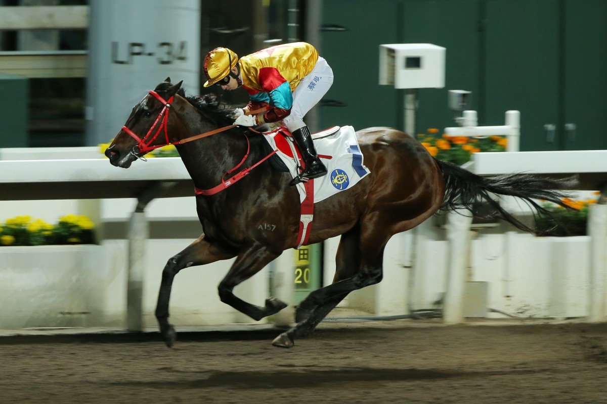 Big Time Baby wins at Sha Tin in February. Photos: Kenneth Chan