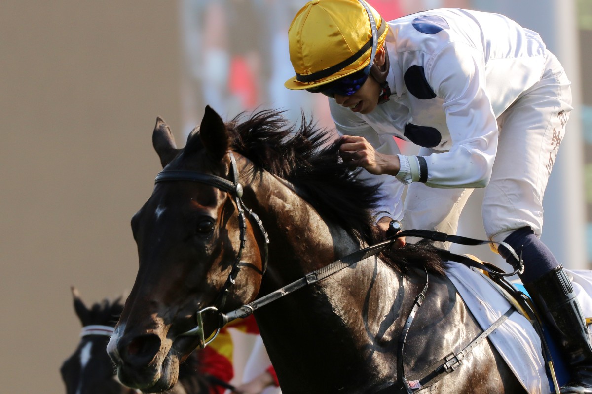 Vincent Ho crosses the line to win the BMW Hong Kong Derby at Sha Tin on Sunday. Photos: Kenneth Chan