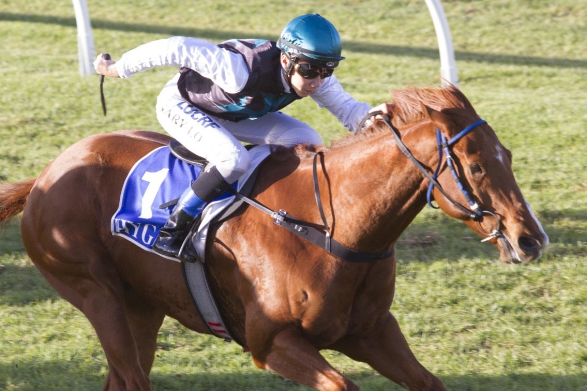 Hong Kong apprentice Gary Lo King-yeung wins aboard Aadelad in Australia. Photo: Handout