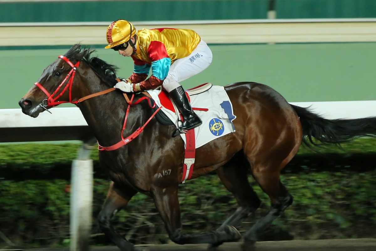 Big Time Baby wins on the Sha Tin all-weather track earlier this season. Photos: Kenneth Chan