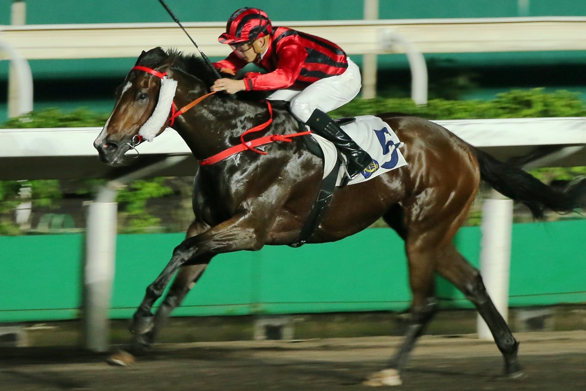Kings Shield wins easily at Sha Tin last season. Photos: Kenneth Chan