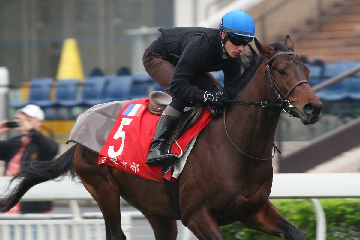 Antoine Hamelin gallops Saonois at Sha Tin in the lead up to the 2012 Hong Kong Cup. Photo: Kenneth Chan