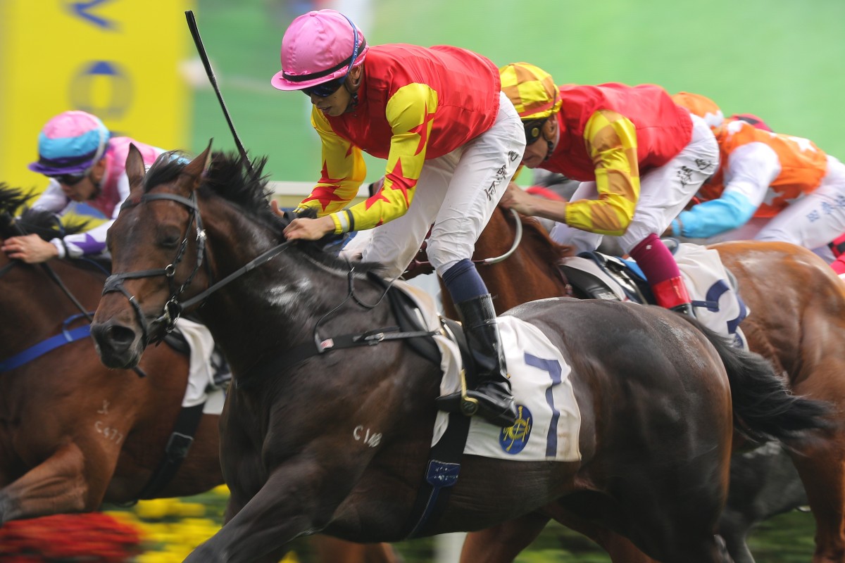 Farhh Above wins under jockey Vincent Ho at Sha Tin in January this year. Photos: Kenneth Chan