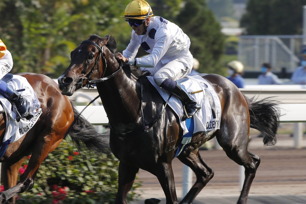Golden Sixty races home to win the Hong Kong Derby last month. Photos: Kenneth Chan