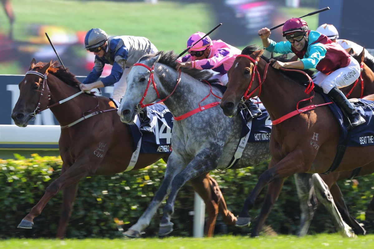 Aethero (inside) is narrowly beaten in the Hong Kong Sprint by Hot King Prawn and Beat The Clock. Photos: Kenneth Chan