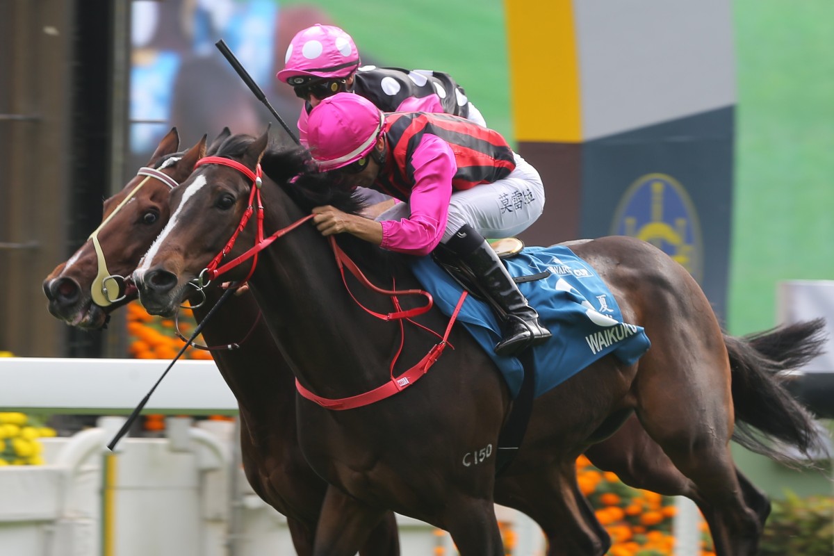 Waikuku gets the better of Beauty Generation during the Stewards’ Cup this season. Photos: Kenneth Chan