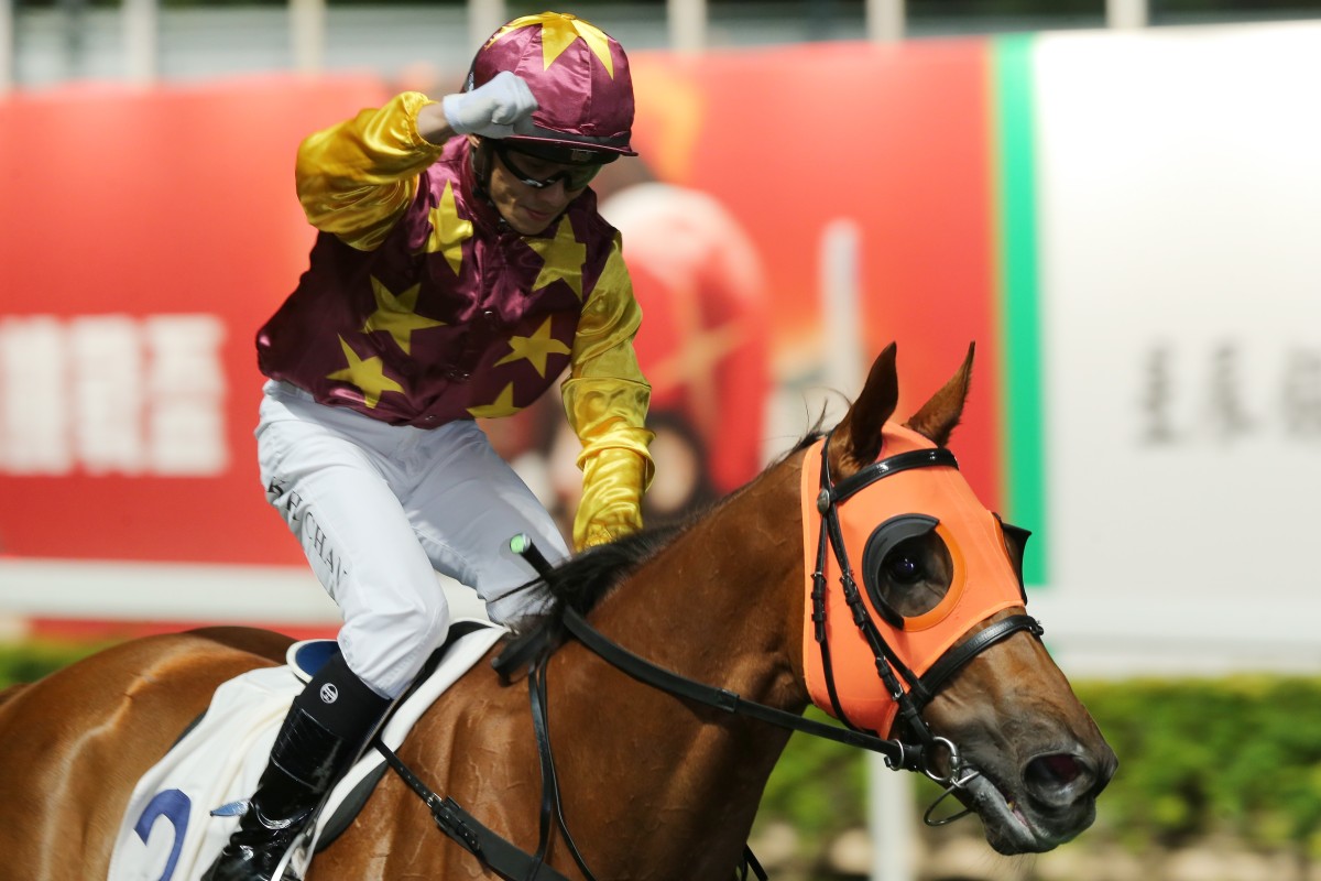 Alfred Chan out to make more memories with Very Sweet Orange after