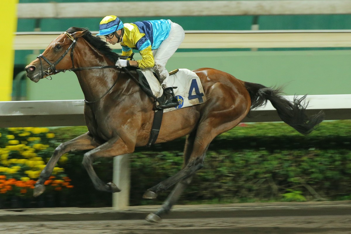 Righteous Doctrine salutes at Sha Tin on April 1. Photos: Kenneth Chan