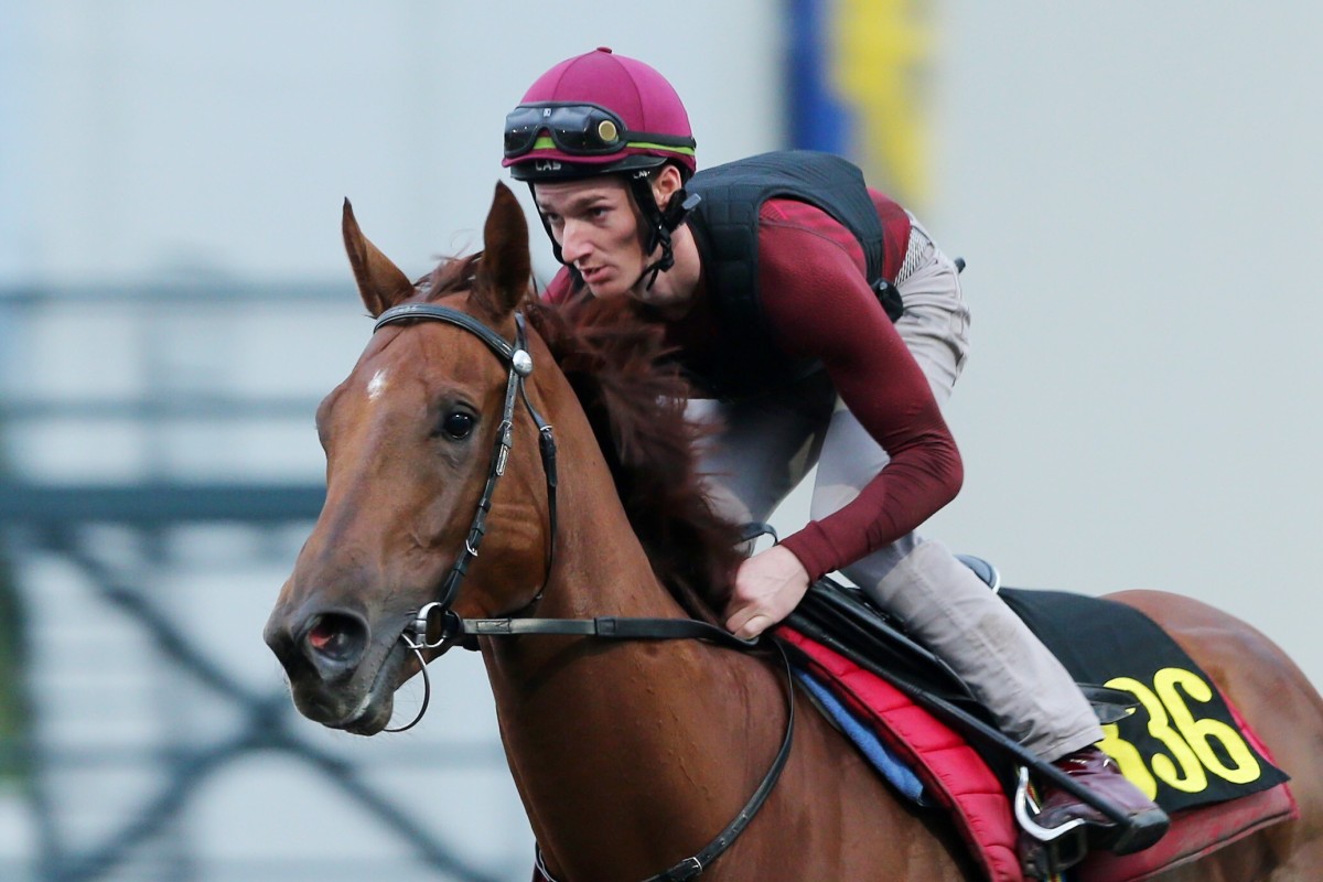Aethero gallops at Sha Tin. Photos: Kenneth Chan
