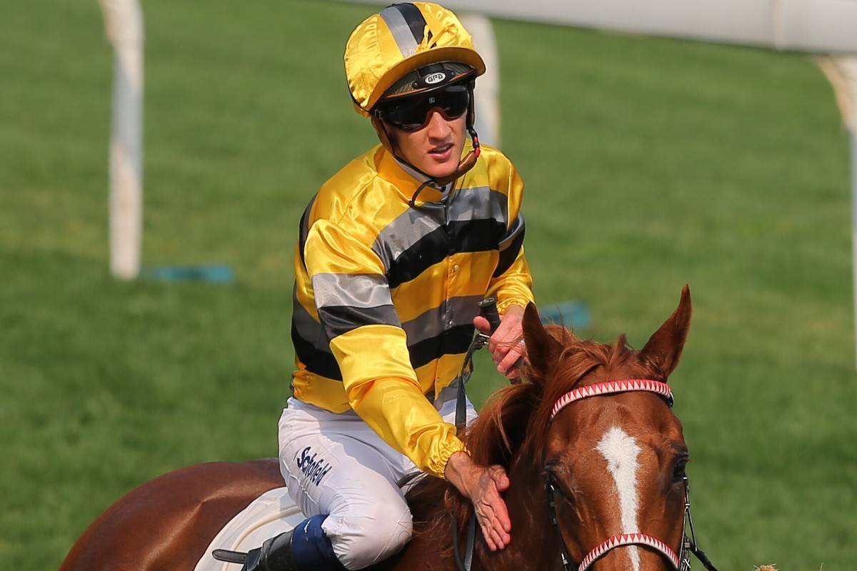 Chad Schofield gives Team Power a pat after their victory at Sha Tin on Sunday. Photos: Kenneth Chan