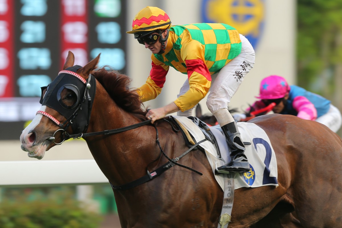 Zac Purton guides Mighty Giant to victory at Sha Tin on Sunday. Photos: Kenneth Chan