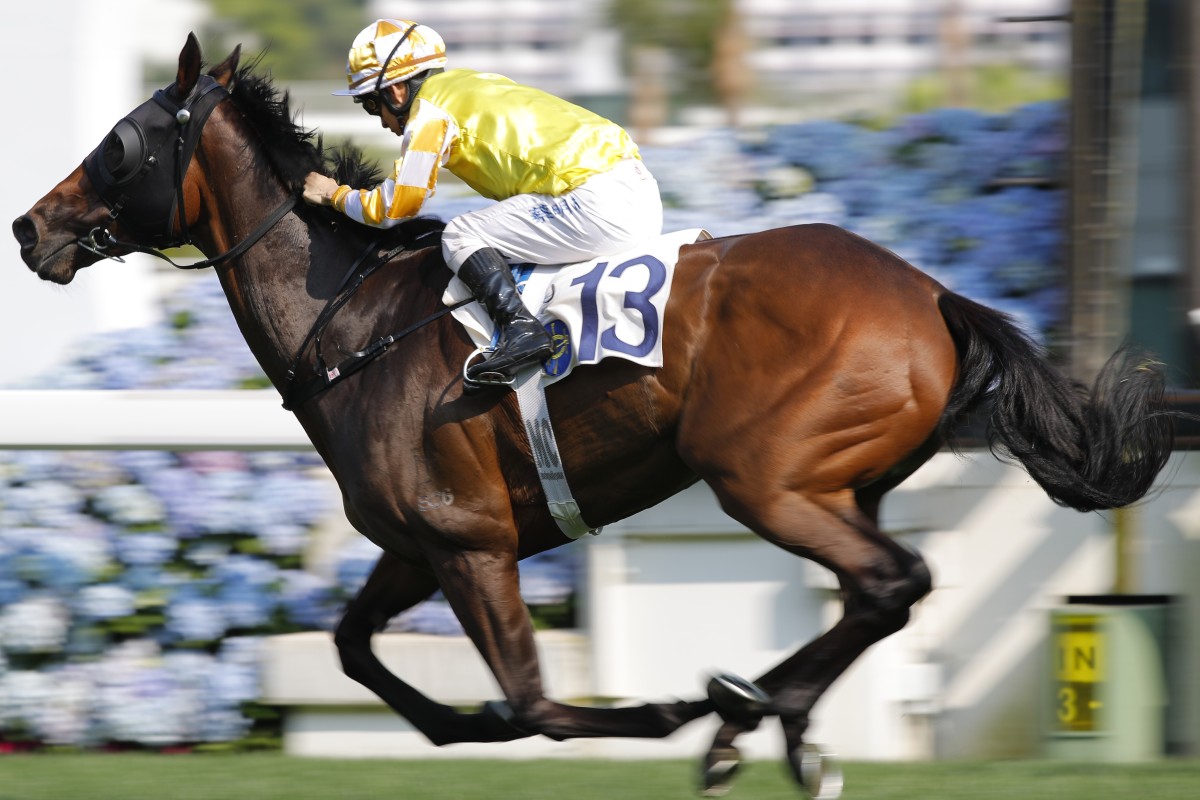 London Hall salutes at Sha Tin last month. Photos: Kenneth Chan