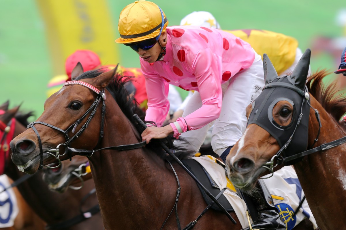 Preciousship, ridden by Vincent Ho, wins in Class Two earlier this season. Photos: Kenneth Chan