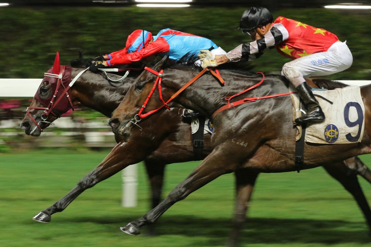 We The South beats home Farm Bumper at Happy Valley on Wednesday night. Photos: Kenneth Chan