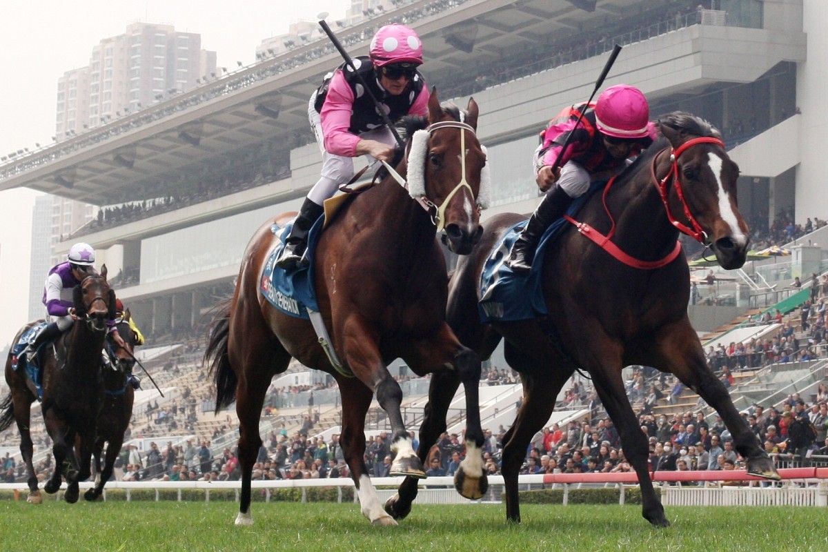 Waikuku (outside) gets the better of Beauty Generation in the Group One Stewards’ Cup earlier this year. Photos: Kenneth Chan
