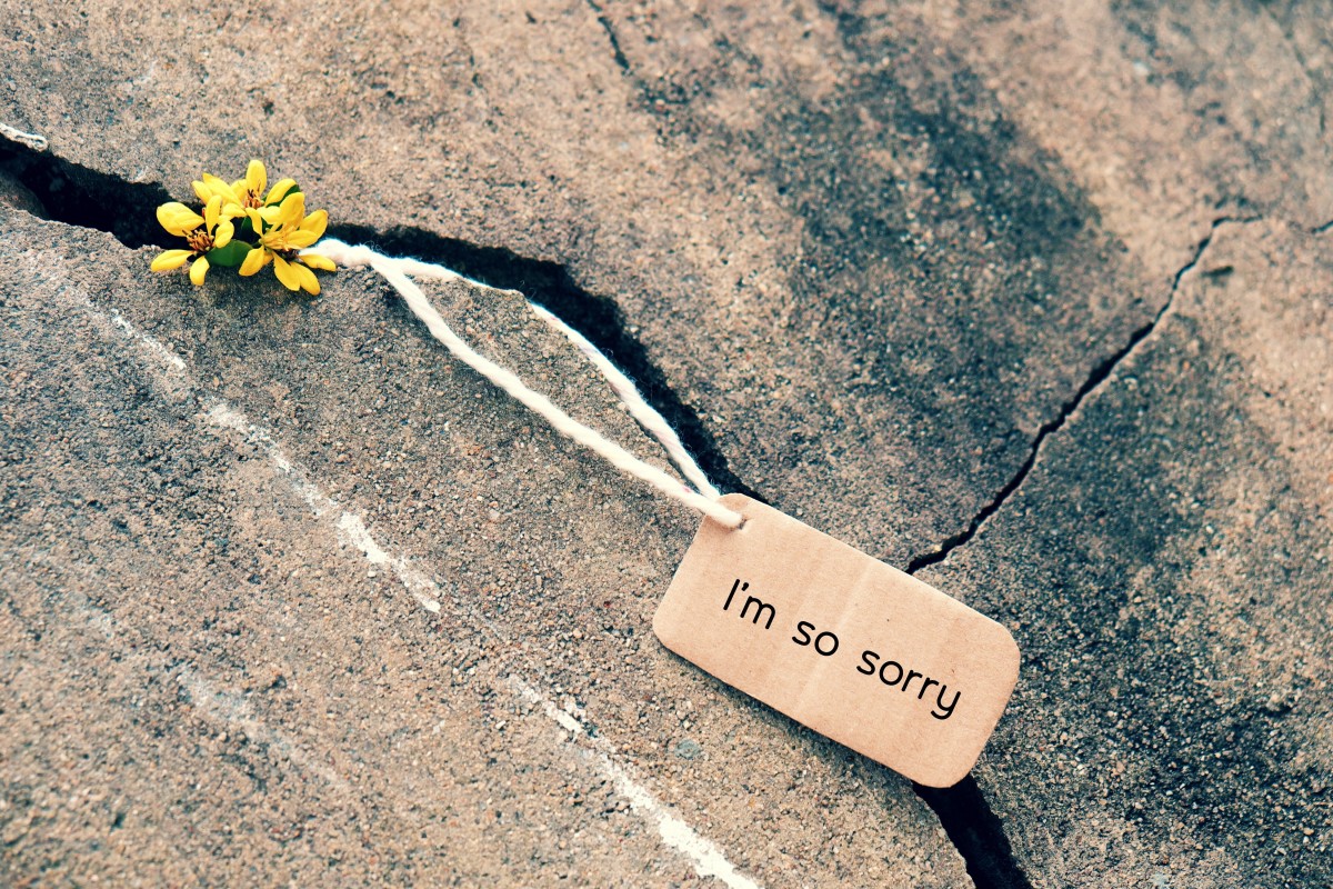 Do you find it easy to say you're sorry?