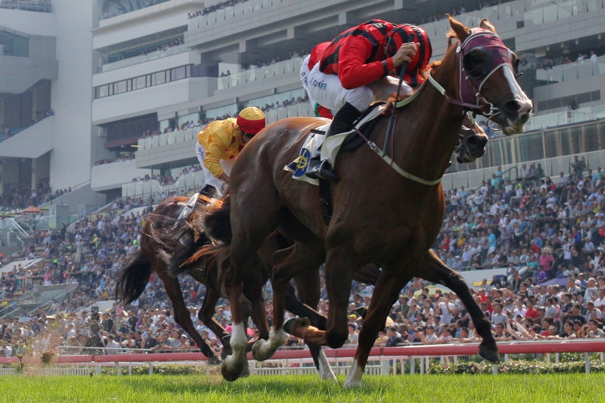 Eagle Way wins the Queen Mother Memorial Cup (2,400m) at Sha Tin in 2017. Photos: Kenneth Chan