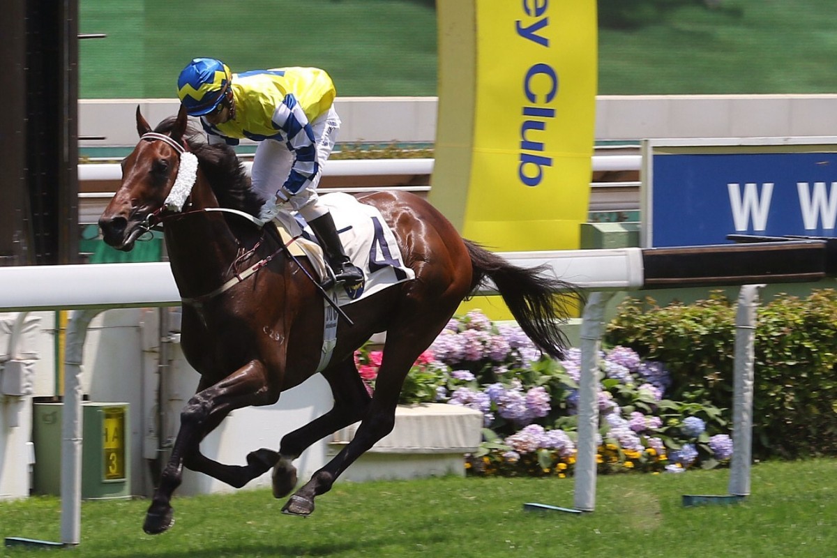 Chefano coasts home to win the Queen Mother Memorial Cup at Sha Tin on Sunday. Photos: Kenneth Chan
