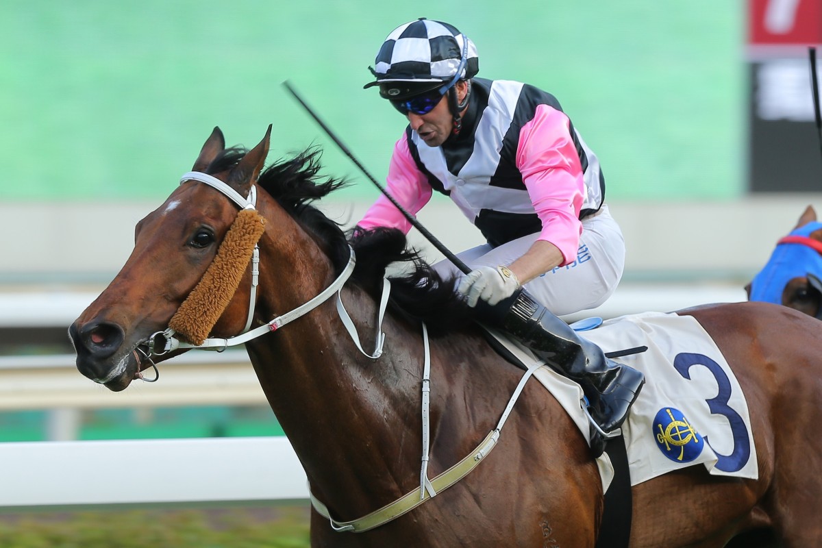 Neil Callan boots home a winner at Sha Tin on the weekend. Photos: Kenneth Chan