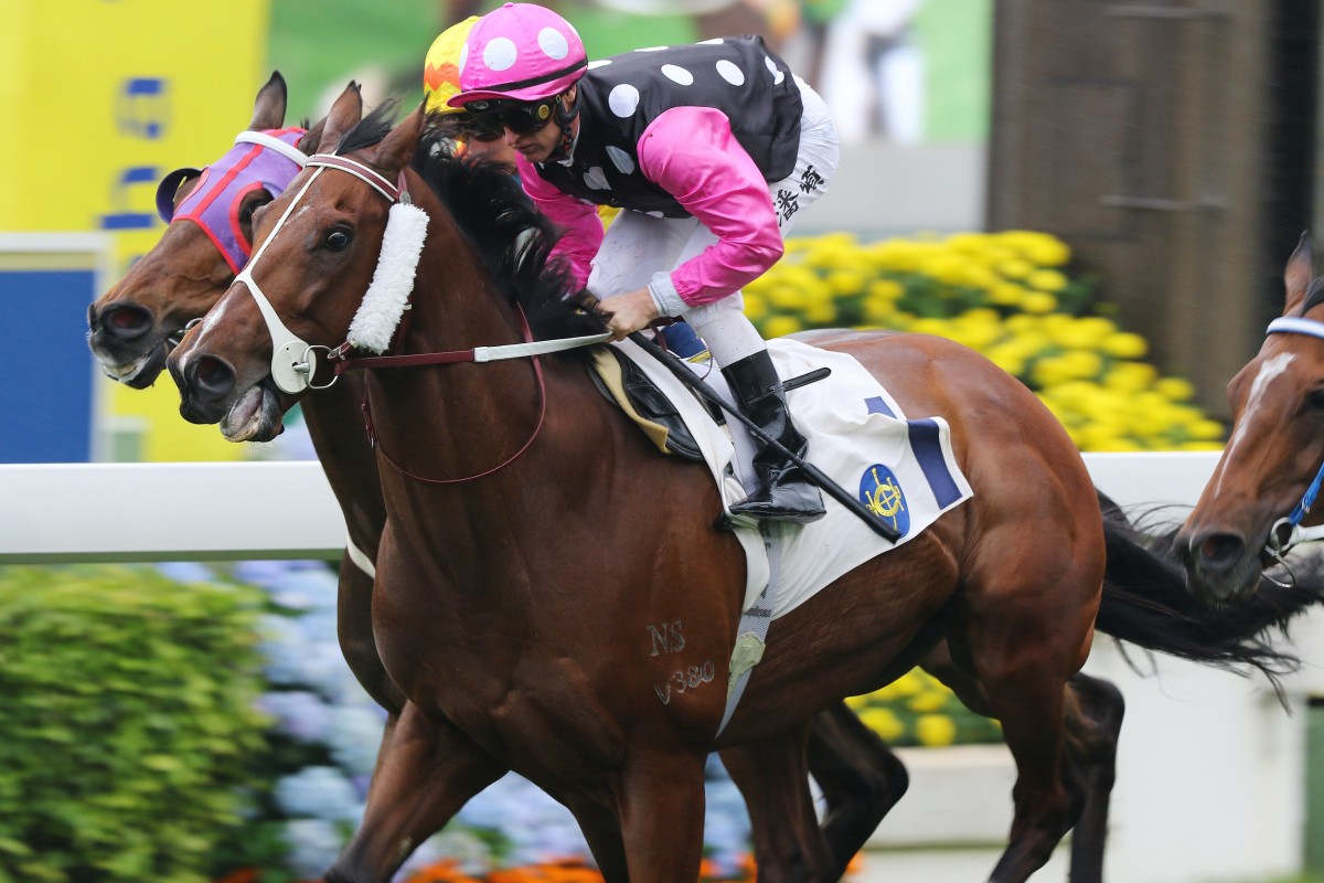 Beauty Generation wins at Sha Tin this season. Photos: Kenneth Chan