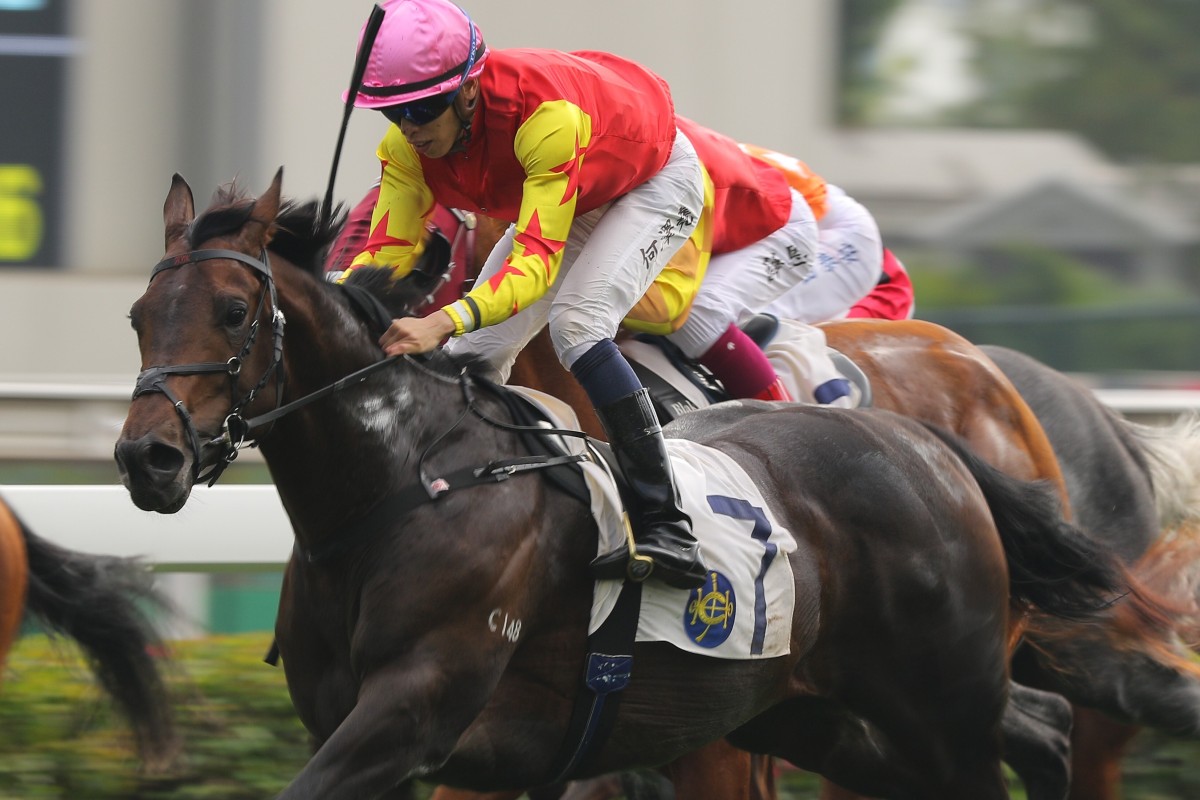 Farhh Above motors home to win at Sha Tin earlier this season. Photos: Kenneth Chan