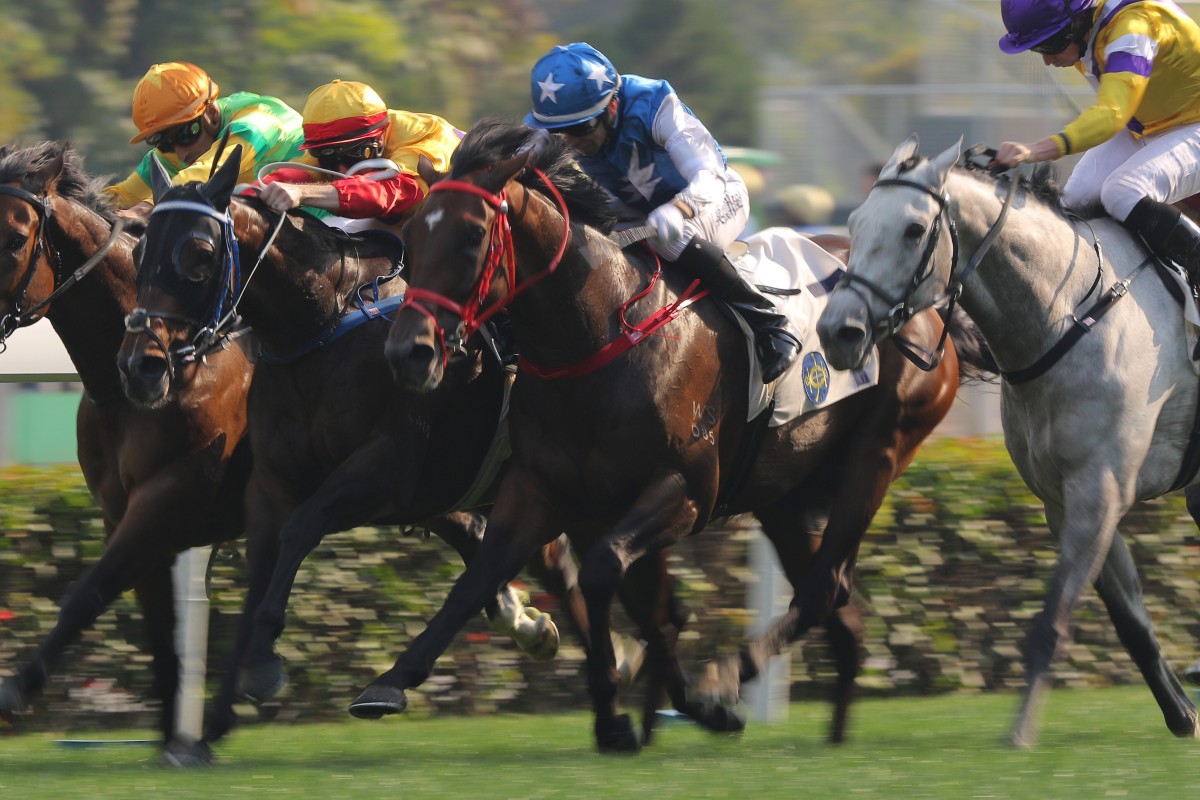 Super Oasis (blue silks) produces his best Hong Kong performance, a shorthead fourth at Sha Tin in February. Photos: Kenneth Chan